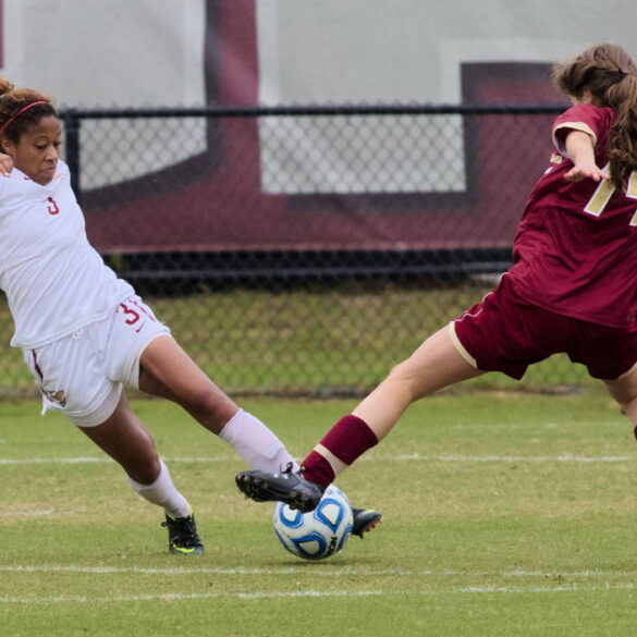 casey short for florida state by steve musco